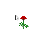 Dancing Red Rose
